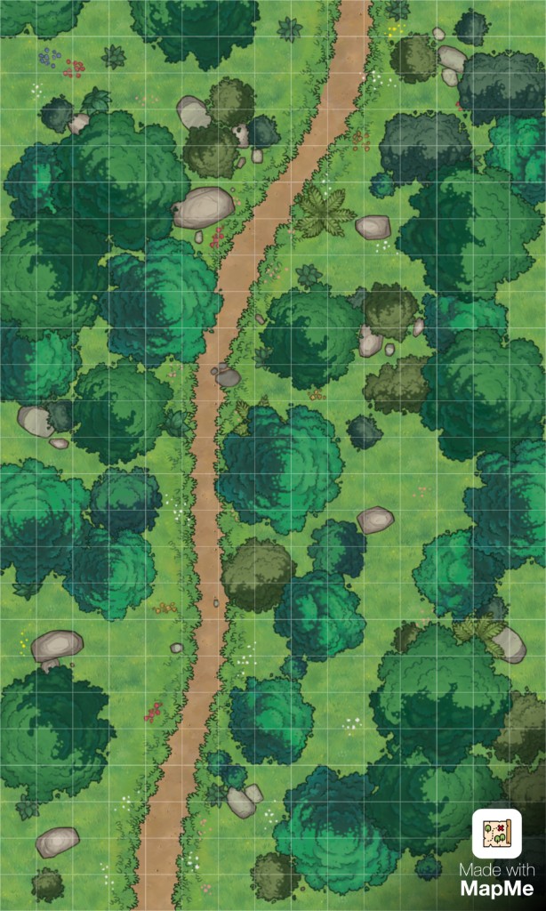 Free Battle Map — Chill Forest Trail